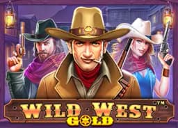 zakkamaru: Wild West Gold